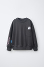 Zara ДЕТСКАЯ ТОЛСТОВКА RIPDIP X С антрацитовым ПРИНТОМ С ЛОГОТИПОМ