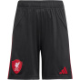 ADIDAS Штаны для детской команды Ливерпуль ФК 25/26 Аус_rts для детей