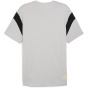 PUMA Мужская футболка BMG FtblArchive Tee