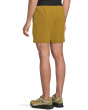 Intrinsic Lined Shorts