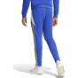 ADIDAS Мужские спортивные брюки Pitch 2 Street Messi