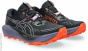 Asics Кроссовки для бега по пересеченной местности C64975127-4291