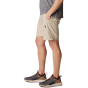 COLUMBIA Мужские шорты Silver Ridge™ Utility Cargo Short 10" (25 см)