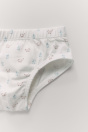 Zara 1 1/2-6 ЛЕТ/ ТРУСЫ В ВИДЕ ЖИВОТНЫХ ИЗ 6 УПАКОВОК 532123495-330-24