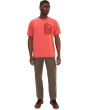 Kragg Cotton Pants