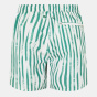 Jack Wills Мужские плавательные шорты в полоску