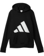 Essential Big Logo Fleece Hooded Pullover (Big Kid)