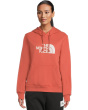 Evolution Half Dome Regular Hoodie