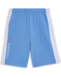 Color-Blocked French Terry Shorts (Big Kid)