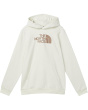 Evolution 1/2 Dome Pullover Hoodie (Little Kid/Big Kid)
