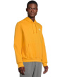 Evolution Box NSE Regular Hoodie