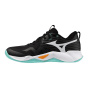 Крытая обувь Mizuno Wave Momentum Pro