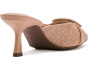 Cassia