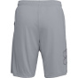 UNDER ARMOUR Мужские шорты технические графические короткие