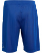 Essentials Big Logo Shorts (Big Kid)