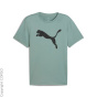 PUMA H тренировочная рубашка C56430301-4284