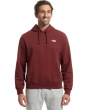 The North Face Мужская толстовка Evolution Simple Dome Regular с капюшоном