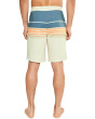 Hyperfreak Heat Stripe 20'' Boardshorts
