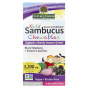 Natures Answer, Kids Sambucus Chewables, черная бузина с витамином C и цинком, 45 жевательных таблеток