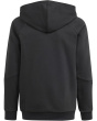 Tiro24 Sweat Hoodie (Little Kids/Big Kids)