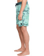 Hyperfreak Mysto Scallop 19'' Boardshorts