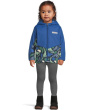 Steens Mountain™ II Overlay Hoodie (Toddler)