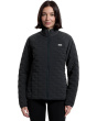 Stretchdown_ _ Light Jacket