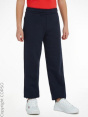 Tommy Hilfiger Спортивные штаны C67844131-4297
