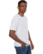 Short Sleeve Tee