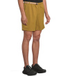 Stretch Zion Pull On Shorts
