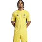 ADIDAS Мужская майка JUVE TR JSY