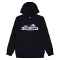 Ellesse Мужская верхняя толстовка с капюшоном