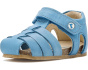 Falcotto Alby (Toddler)
