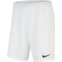 NIKE Мужские командные брюки Dri-FIT Park 3