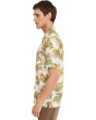 Coastal Ease Palm Voyage