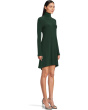 Long Sleeve Turtle Swing Dress