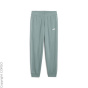 PUMA Тренировочные брюки C65230637-4292