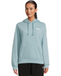 Evolution Box NSE Regular Hoodie