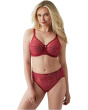 Retro Chic Full Figure Underwire Bra