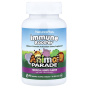 NaturesPlus, Animal Parade®, добавка для поддержки иммунитета, со вкусом тропических ягод, 90 таблеток в форме животных