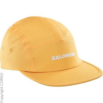 Salomon Крышка 5 Панель C96382859-4284