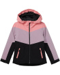 Roxy Winter Haven Jacket (Big Kids)