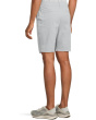Hybridizer Shorts