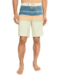 Hyperfreak Heat Stripe 20'' Boardshorts