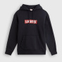 Levis Мужская толстовка с капюшоном в непринужденном графическом стиле