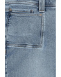 Plus Brigitte Jeans in Mist Springs