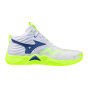 Крытая обувь Mizuno Wave Momentum Elite Mid