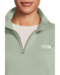Evolution Simple Dome Regular 1/4 Zip