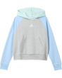 Colorblock Fleece Hooded Pullover (Big Kid)