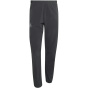 ADIDAS Мужские брюки Terrex Xperior CLIMA365 Light